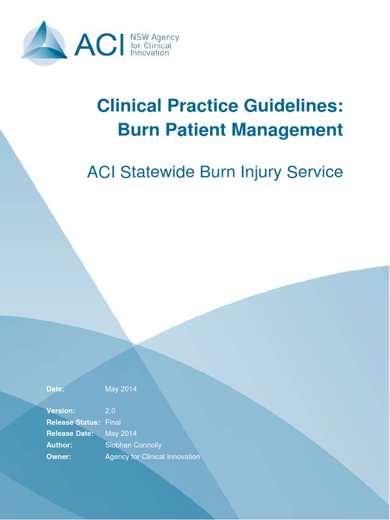 Burn Patient Management Clinical Practice Guidelines Burn Wound