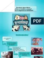 Brucelosis