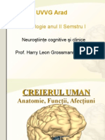 Suport Curs Anatomia Creierului