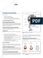 Enfermeria Del Niño y Del Adolescente PDF