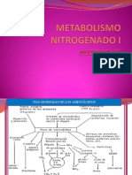 Metabolismo Nitrogenado I