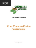 Apostila Ciencias Naturais Do 6º Ao 9º Ano - Ensino Fundamental - Profª Analina V