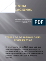 Ciclo de Vida Organizacional