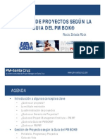 Presentacion PMI