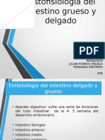 Histofisiología Del Intestino Grueso y Delgado