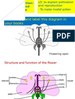 TASK: Copy and Label This Diagram in Your Books: Flowering Open Video