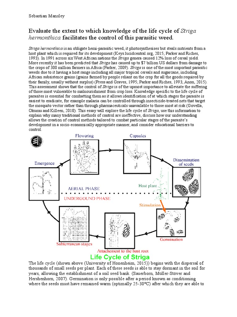 evaluate-the-extent-to-which-knowledge-of-the-life-cycle-of-striga