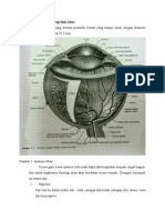 Anatomi Dan Fisiologi Bola Mata