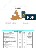 Perfil Puebla