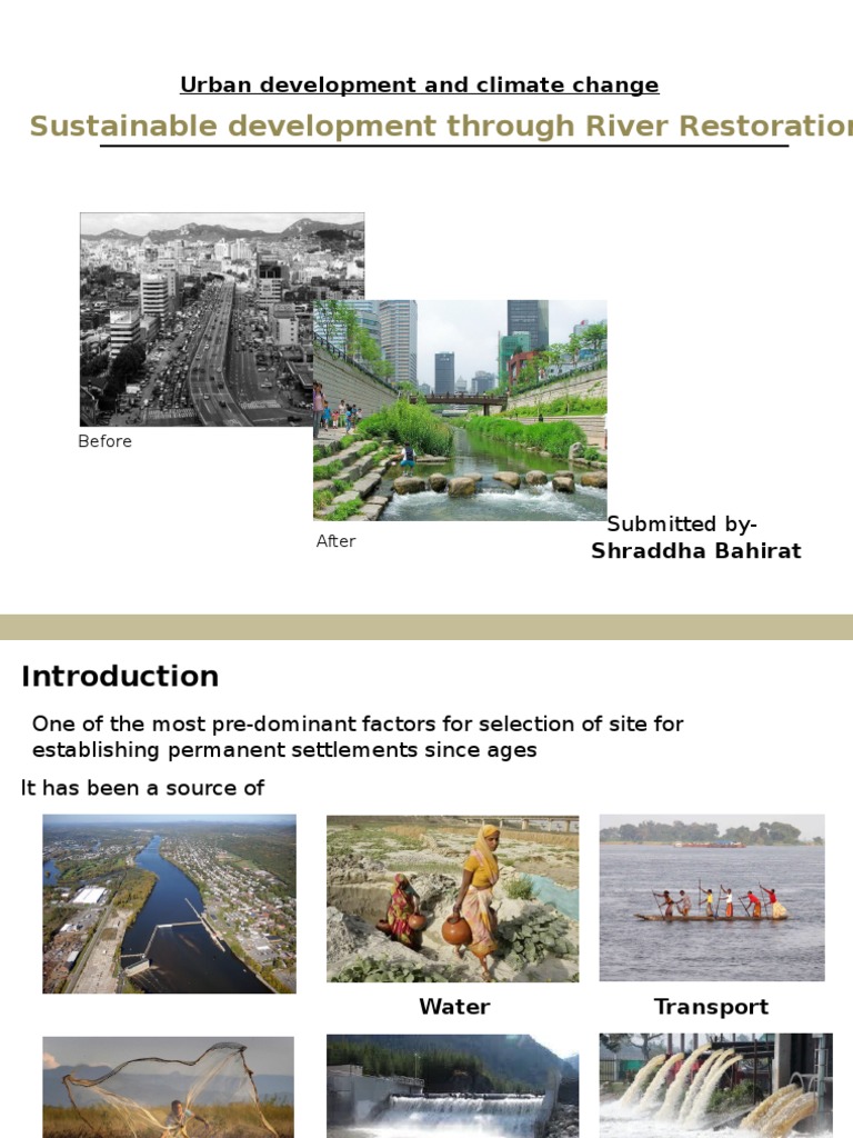 Urban River Restoration Impact Analysis | PDF | River | Floodplain