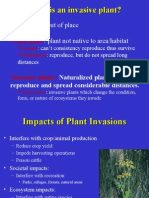 What Is An Invasive Plant?