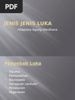Jenis Luka