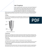 Struktur Dan Fungsi Anatomi Akar