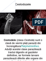 Cestodozele