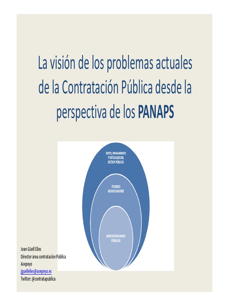 Problemas en Contratación Pública y PANAPS | PDF | Derecho privado ...