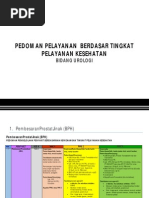 Download Pedoman Pelayanan Kesehatan Urologi - IAUI by Friedrich Rabin Situmorang SN291143807 doc pdf