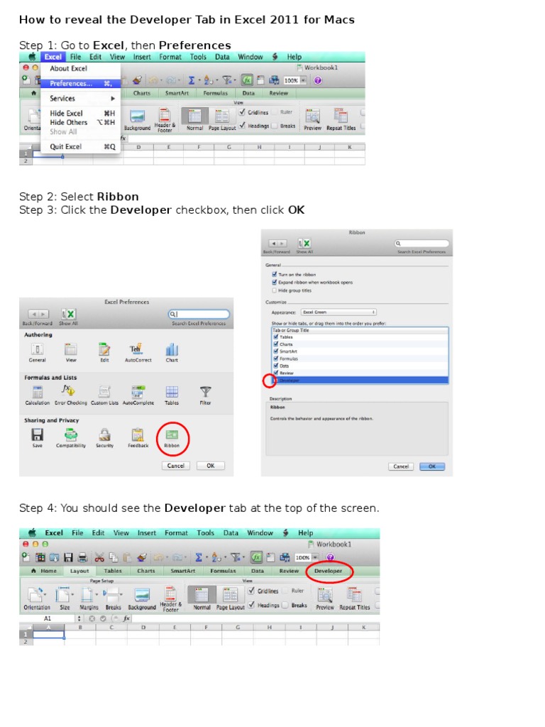 Enable Developer Tab in Excel 2011 Mac | PDF