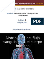 Flujo Sanguineo