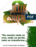 CICLOS-BIOGEOQUIMICOS-2013