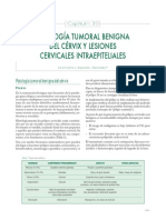 30-Patologia Tumoral Benigna Del Cervix y Lexiones Cervicale Intraepiteriales