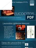 Leucocitos Listo (1)