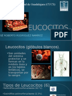 Leucocitos Listo