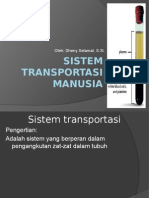 Sistem Transportasi Pada Tubuh Manusia