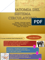 Unidad3 Fisiologia Animal Sistema Circulatorio Parte 1