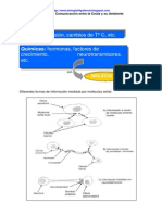 Comunicación Entre Las Células y El Ambiente