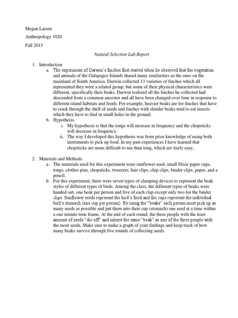 natural selection lab report Experiment Scientific Method