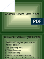 Anatomi Sistem Saraf Pusat