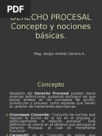 Concepto Derecho Procesal y Nociones Generales