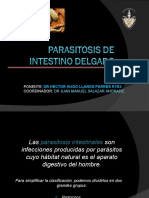 Parasitosis de Intestino Delgado