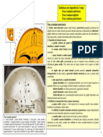 SECTIUNEA 1 ENDOBAZA