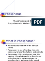 Phosphorus: Phosphorus and Its Importance To Water Quality