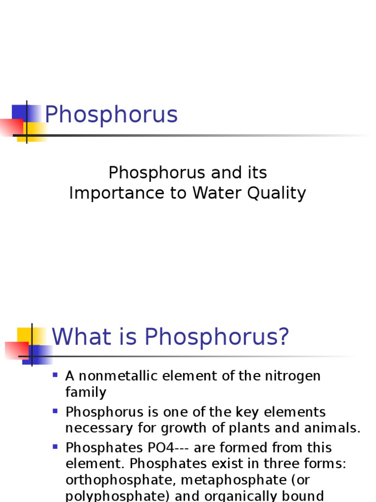 Phosphorus: Phosphorus and Its Importance To Water Quality | PDF
