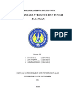 Struktur dan Fungsi Jaringan Epidermis