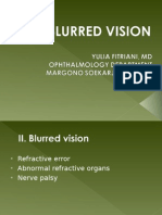2-Blurred Vision