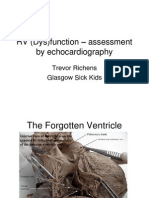 RV (Dys)function assessment by echocardiography