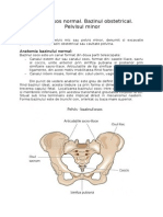 Bazinul Osos Normal