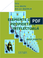 Elemente de proprietate intelectuala.pdf