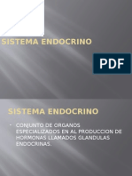 Sistema Endocrino1