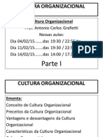 Slide Organizacional