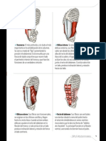 GranLibro.abdominales.sportlife179 Marzo2014 Página 05