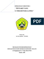 Penyakit Yang Sering Terjadi Pada Lansia 3a