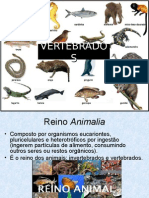 Vertebrados