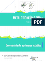 Metalotioneínas (MTS)