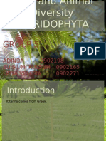 Group 5 Pteridophyta