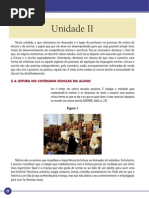 unid_2universidade paulista apostila