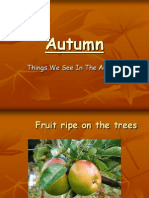 Autumn PDF